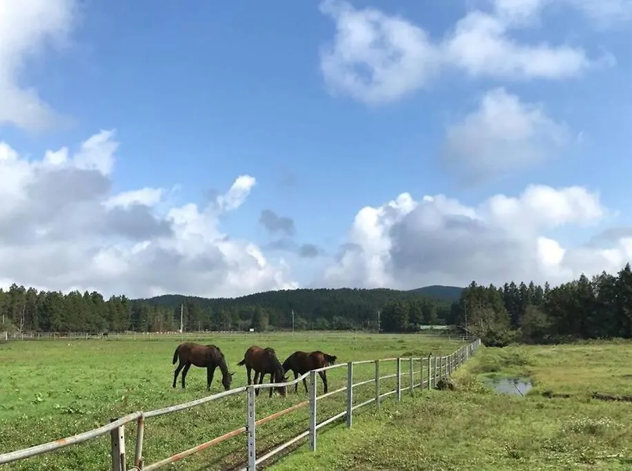 Holiday home Pony Jeju Villa