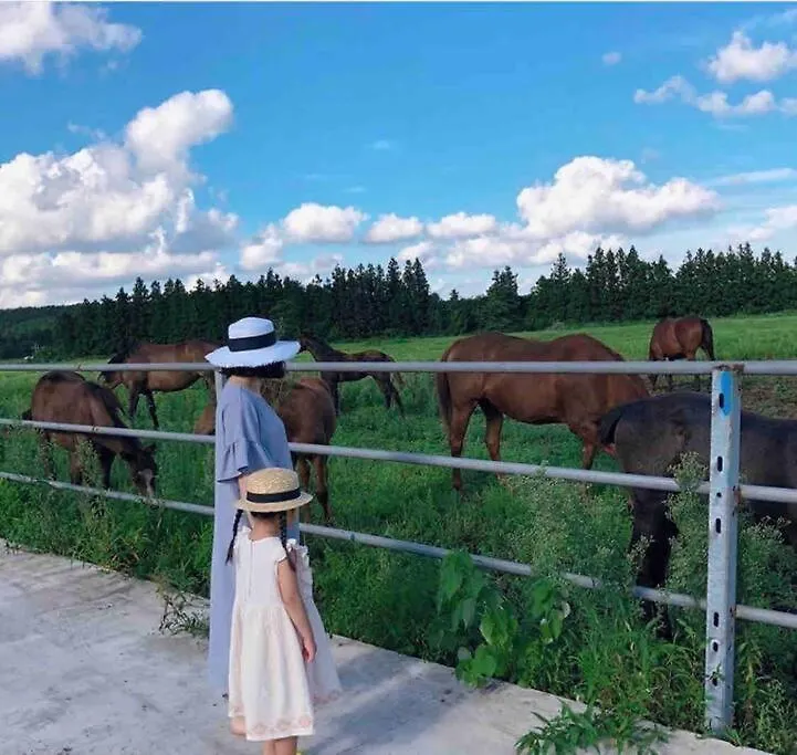 Pony Jeju Villa