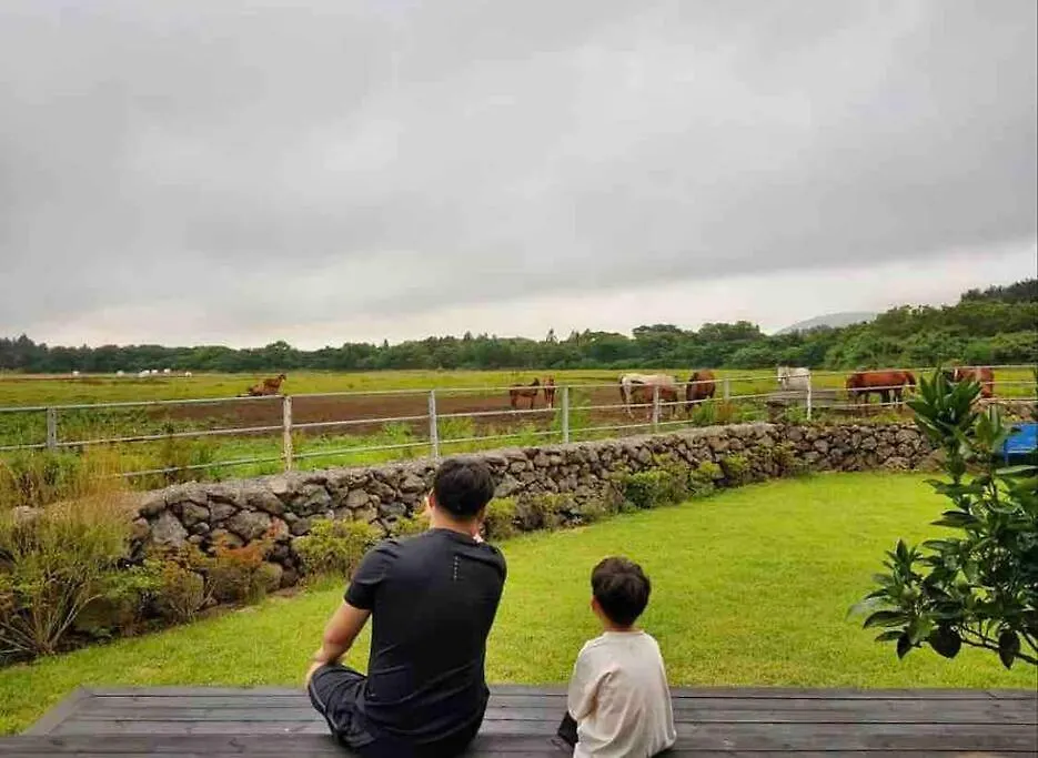 Pony Jeju Villa