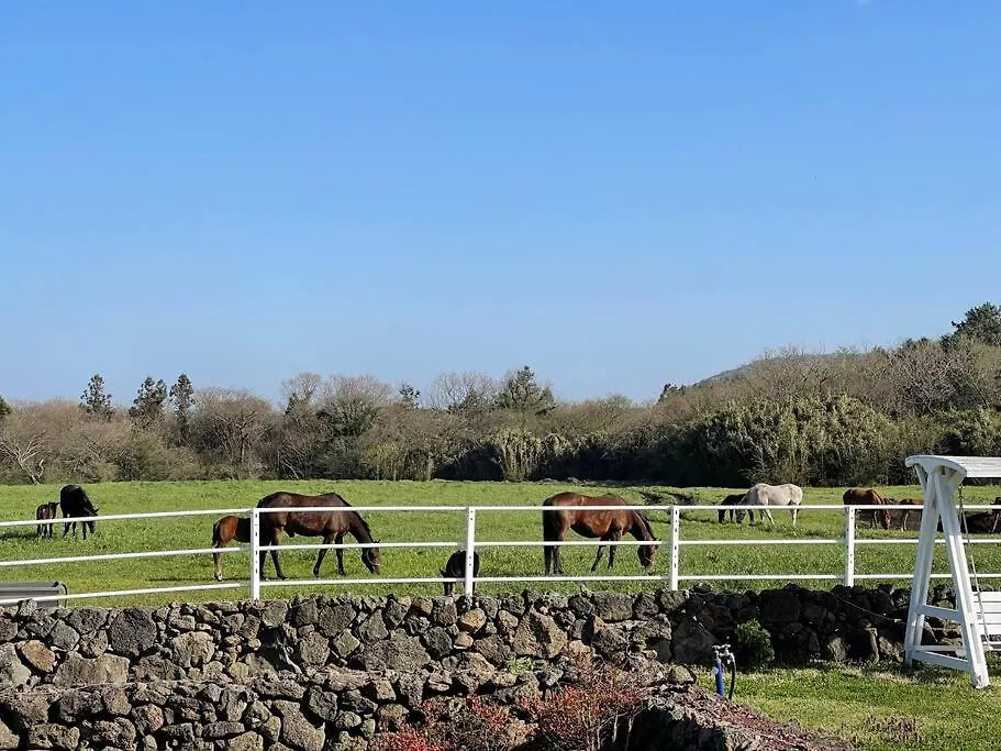 Pony Jeju Villa