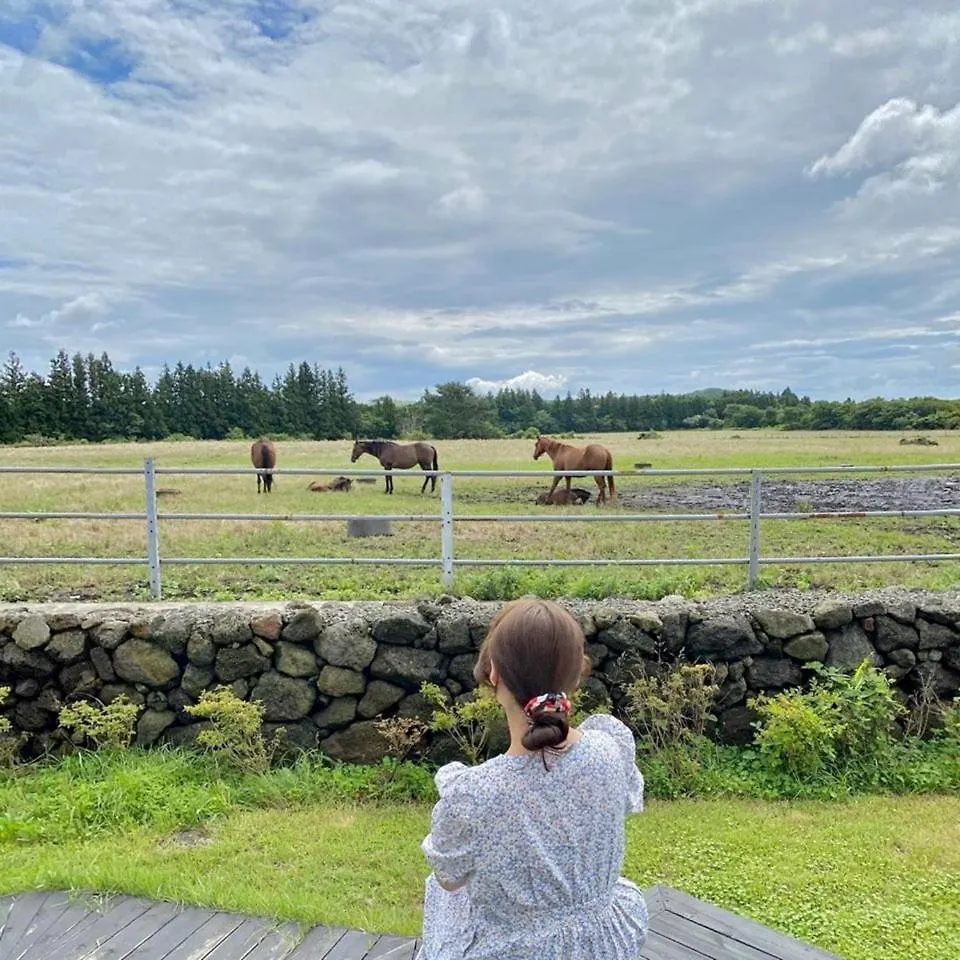 Pony Jeju Villa 0*,