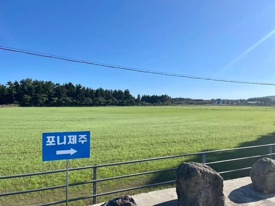 Pony Jeju Βίλα Σπίτι διακοπών
