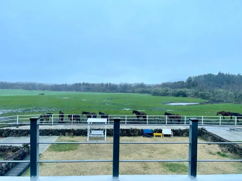 Pony Jeju Βίλα Σπίτι διακοπών