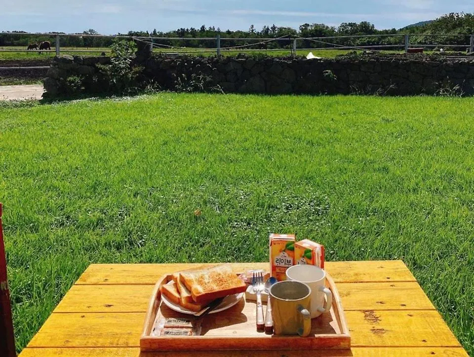 Pony Jeju Βίλα