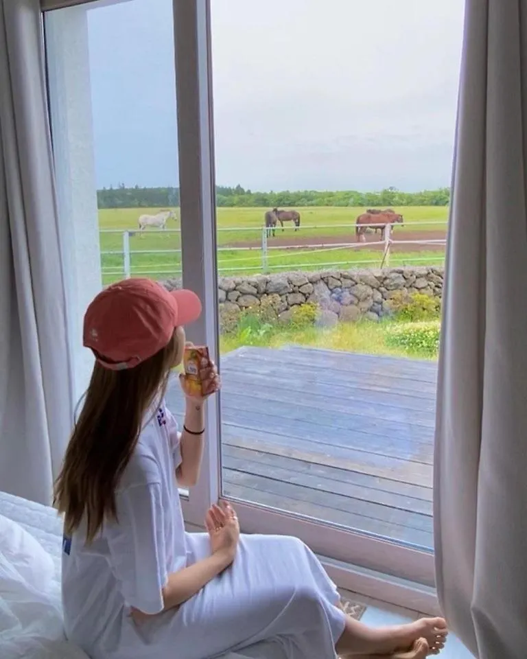 Pony Jeju Βίλα 0*,